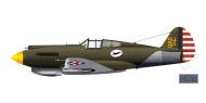 Asisbiz Curtiss P 40C Warhawk 8PG33PS Yellow 54 Iceland 1941 0A