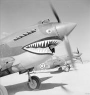 Asisbiz Curtiss Tomahawk MkIIb RAF 112Sqn at LG 102 in the Sidi Heneish area Egypt IWM CM1339