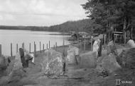 Asisbiz Hover MF 11 FAF Lentolaivue 15 NK173 at Hirviranta Finland 24th Aug 1941 01