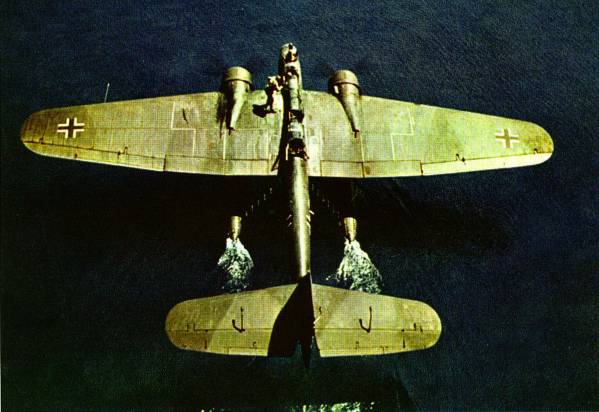 Heinkel He 115 showing the upper camouflage pattern in color 01