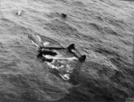 Asisbiz Blohm und Voss Bv 138 flying boat downed by RCAF 404Sqn Beaufighters off the north coast of Scotland IWM C3684