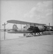 Asisbiz Heinkel He 59 3.Seenotgruppe Stkz TV+HZ France or Holland ebay 01