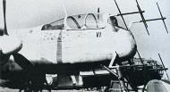Asisbiz Captured Heinkel He 219A7 3.NJG3 D5+CL WNr 310189 Grove Denmark May 1945 03
