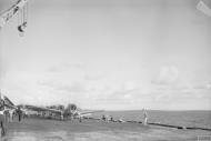 Asisbiz HMS Indomitable launches Hellcat FAA 1839NAS for a raid on Padang Sumatra Aug 1944 IWM A25582