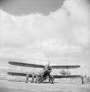 Asisbiz Fleet Air Arm Fairey Albacores S51 used to bolster Maltas defenses 1942 IWM A16136