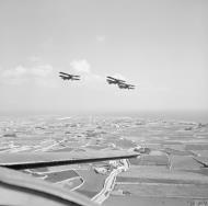 Asisbiz Fleet Air Arm Fairey Albacores transfered to Malta 1942 IWM A16149