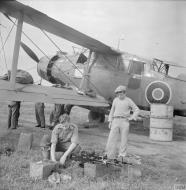 Asisbiz Fleet Air Arm Fairey Albacores used to bolster Maltas defenses 1942 IWM A16128