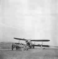 Asisbiz Fleet Air Arm Fairey Albacores used to bolster Maltas defenses 1942 IWM A16130