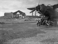 Asisbiz Fleet Air Arm Fairey Albacores used to bolster Maltas defenses 1st Dec 1942 IWM A13424
