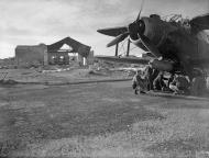 Asisbiz Fleet Air Arm Fairey Albacores used to bolster Maltas defenses 1st Dec 1942 IWM A13424