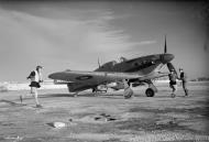 Asisbiz Fleet Air Arm Sea Hurricane BC765 pilot running to his aircraft which stands ready on an airfield in Malta IWM A13425