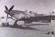 Asisbiz Hurricane IIc Trop RAAF 451Sqn Egypt 01