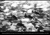 Asisbiz Hurricane IIb RAF 601Sqn UFO Z3356, UFY BD712, UFP Z3030 and UFW Z3397 in formation 1941 IWM