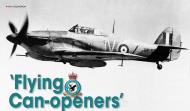 Asisbiz Hawker Hurricane IId Trop RAF 6Sqn JVZ BP188 Battle of El Alamein Egypt 1942 01