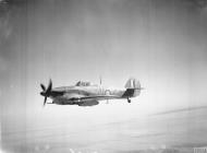 Asisbiz Hawker Hurricane IId Trop RAF 6Sqn JVZ BP188 Battle of El Alamein Egypt 1942 IWM CM4954