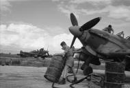 Asisbiz Hawker Hurricane IV Trop RAF 6Sqn at Araxos Greece IWM CNA4000