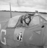 Asisbiz Spitfire Vb RAF Ibsley Wing RG with IR Gleed at Ibsley Hampshire IWM CH5908