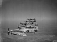 Asisbiz Hawker Hurricane IIc Trop RAF 94Sqn GOP HL851 North Africa 1942 IWM CM3653
