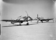 Asisbiz Hurricane IIc RAF 94Sqn HL735 n HL851 at El Gamil Egypt IWM CM3521