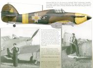Asisbiz Hawker Hurricane Rumanian AF Esc 53 Yellow 4 Horia Agarici Rumania 1941 Mushroom 9111 0A