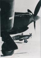 Asisbiz Hawker Hurricane IIb SAAF 1Sqn AXW BG764 Idku Egypt June 1942 01