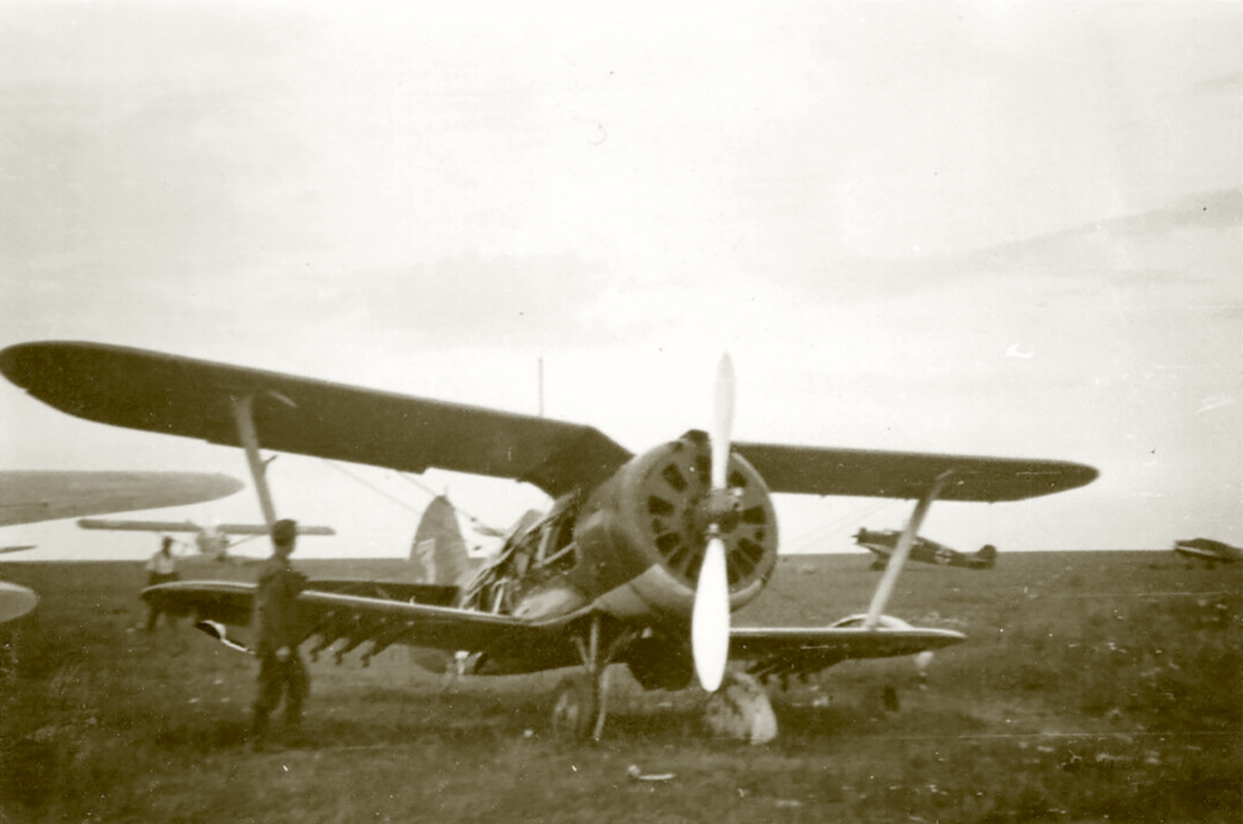 Polikarpov I 153 160IAP Blue 3 captured during the Barbarrosa onslaught 1941 ebay 01