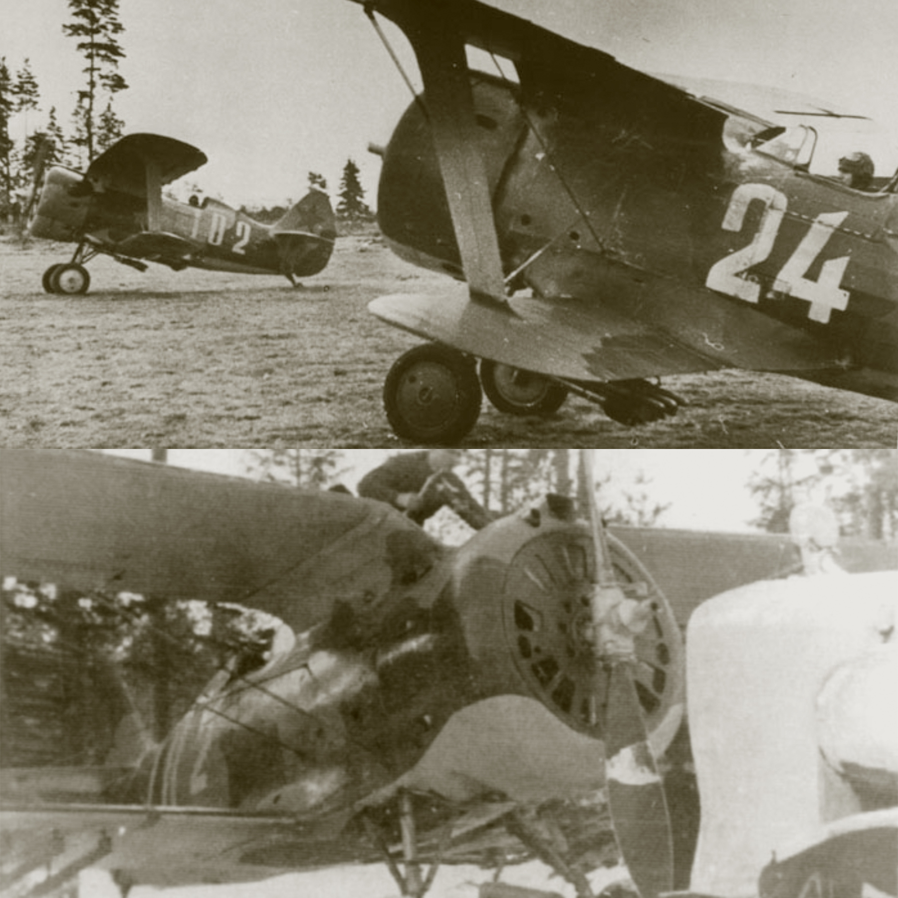 Polikarpov I 153 71IAP KBF Silver 102 Lavansaari Island Gulf of Finland Aug 1942 01