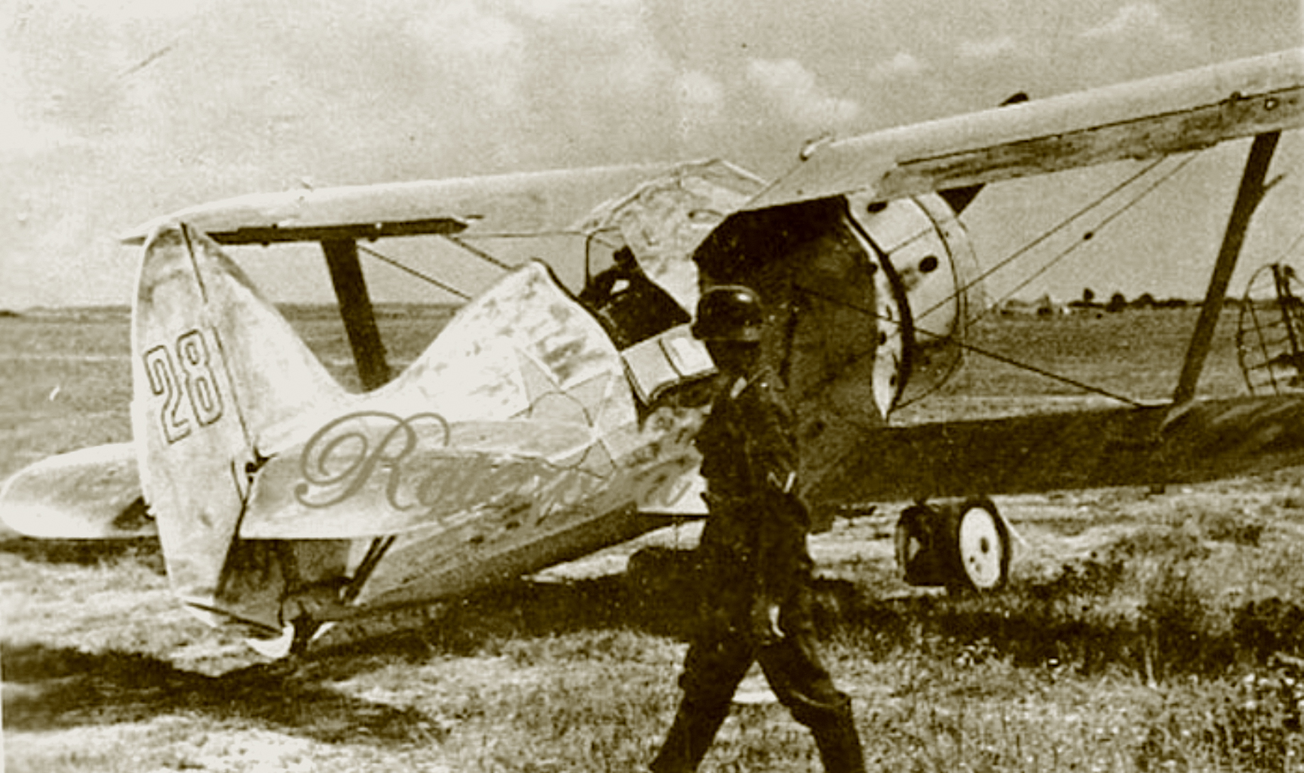 Polikarpov I 153 IAP Yellow 28 captured during the Barbarrosa onslaught at Minsk 1941 ebay 01