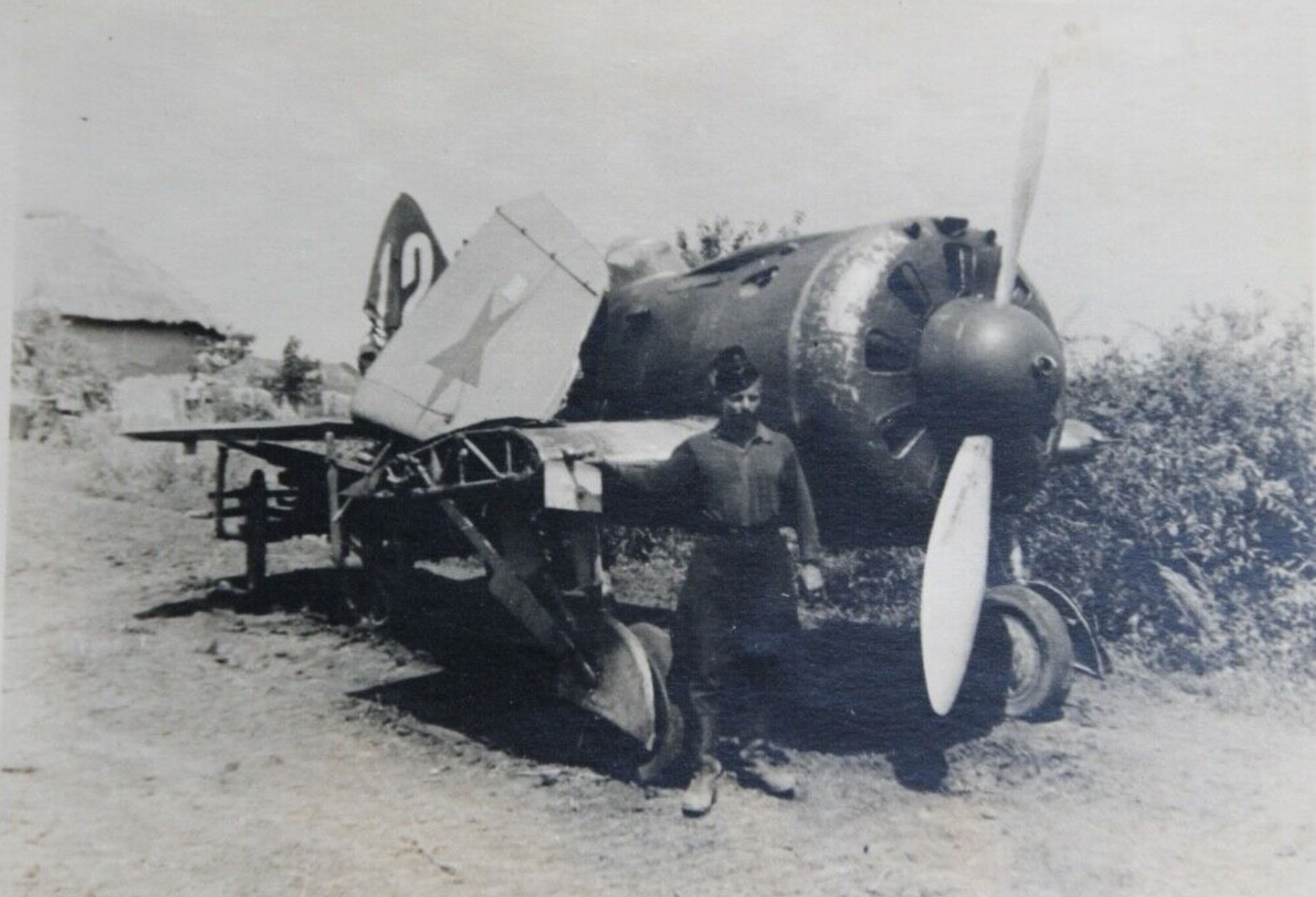 Polikarpov I 153 unknown unit White 12 captured during the Barbarrosa onslaught 1941 ebay 01