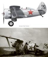 Asisbiz Polikarpov I 153 17IAP Black 29 captured during the Barbarrosa onslaught 1941 0B