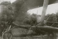 Asisbiz Polikarpov I 153 611IAP Red 1 during the Barbarrosa onslaught 1941 42 01
