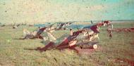 Asisbiz Polikarpov I 153 66ShAP Blue 51 captured at Kurovitsy during the Barbarrosa onslaught Russia 1941 01