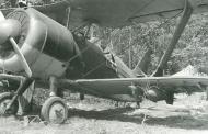 Asisbiz Polikarpov I 153 74ShAP Blue 2 captured at Malyye Zvody during the Barbarrosa onslaught 1941 01