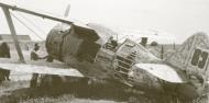 Asisbiz Polikarpov I 153 IAP Red 63 captured during the Barbarrosa onslaught at Minsk 1941 01