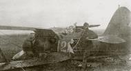 Asisbiz Polikarpov I 153 unknown unit Silver 122 captured during the Barbarrosa onslaught 1941 01