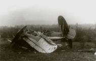 Asisbiz Polikarpov I 153 unknown unit shot down during the Barbarrosa onslaught 1941 ebay 012