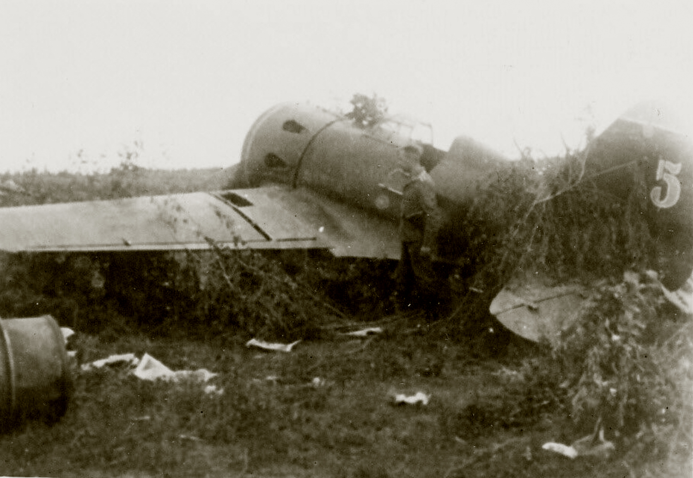 Polikarpov I 16 type 10 89IAP Blue 5 captured at Mlynow Poland during the Barbarosa onslaught 1941 02
