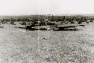 Asisbiz Ilyushin Il 2 Sturmovik force landed being inspected by German troops ebay 03