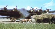 Asisbiz Messerschmitt Me 323E1 Giant 6.TG5 C8+RP at Ilanca Romania April 1944 01