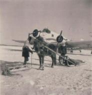 Asisbiz Ostfront Junkers Ju 52 3mg3e during a medical evaction Stalingrad Russia 1941 ebay 01