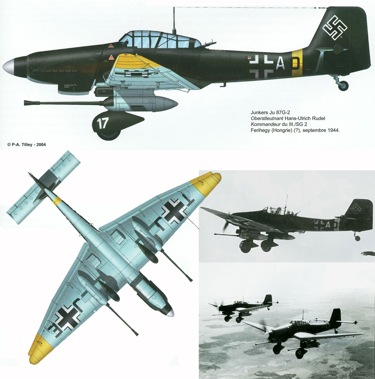 Junkers Ju 87G2 Stuka Stab 10.(Pz)SG2 (T6+AD) white 17 Slovakia 1944 0A