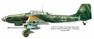 Asisbiz Junkers Ju 87G2 Stuka Stab 10.(Pz)SG2 Hans Ulrich Rudel WNr 494110 Freiwaldau Czechoslovakia 1945 0C