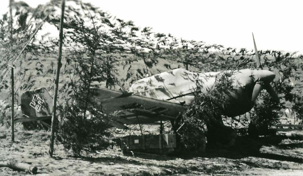Junkers Ju 87B Stuka under camuflage netting Eastern Front J 1941 01