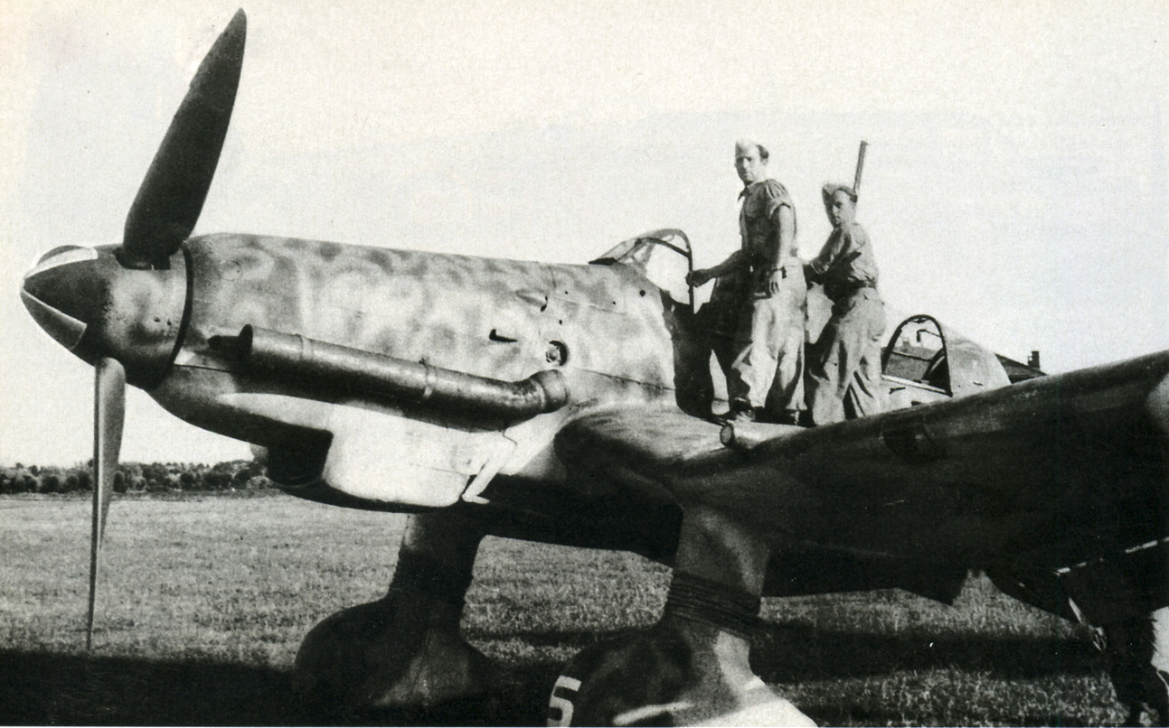 Junkers Ju 87D7 Stuka NSG9 Hans Wolfsen Hans Wilk Italy Aug 1944 01