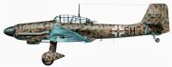 Asisbiz Junkers Ju 87D7 Stuka 1.NSG9 (E8+SH) Gunther Graser Tuscania Italy Apr 1944 0B