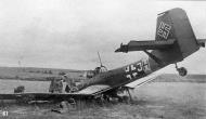Asisbiz Junkers Ju 87D8 Stuka 1.NSG9 +JH shot down Russia 1943 01