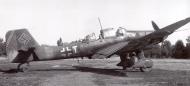 Asisbiz Junkers Ju 87D5 Stuka 10.(Pz)SG2 T6+TU later surrendered at Kitzingen 8th May 1945 01