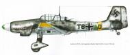 Asisbiz Junkers Ju 87D5 Stuka Stab III.SG2 (T6+AD) Hans Rudel Russia 1943 44 0A