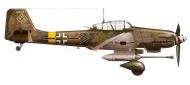 Asisbiz Junkers Ju 87G2 Stuka Stab SG2 WNr 494193 Stkz SO+FW Rudel Seregelyes Hungary Dec 1944 0A