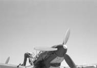 Asisbiz Junkers Ju 87D5 Stuka 1.SG3 S7+EH being refuelled at Immola 2nd Jul 1944 03